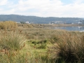 Estuario do Río Anllóns