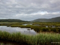 Estuario do Río Anllóns