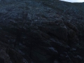 pa130111-074