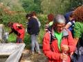 Fontefría