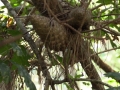 Furna do Sapo 27