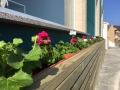 Hotel Mar de Fisterra 25
