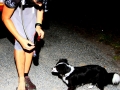 2014-07-25-103-copia