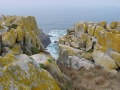 Islas Sisargas