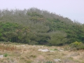 Islas Sisargas