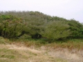 Islas Sisargas
