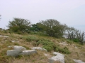 Islas Sisargas