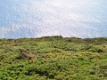 CHA_4558