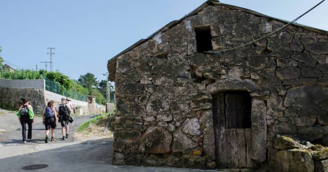 Merexo