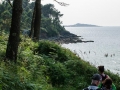 Merexo