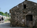 Merexo