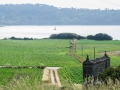 Merexo