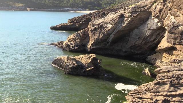 MVI_0317.MP4.15_04_06_14.Imagen fija001