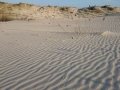 Monte Branco
