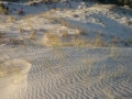 Monte Branco