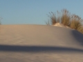 MVI_0379.MP4.15_24_11_21.Imagen fija001