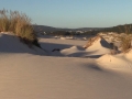 MVI_0381.MP4.15_24_27_17.Imagen fija001