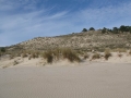 Monte Branco