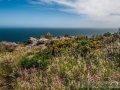 faro-Finisterre-desde-Monte-Facho