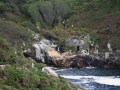 IMG_0419 copia