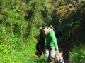 O Canal das Sisargas