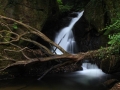 rionegro_1