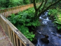 rionegro_2
