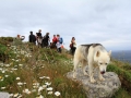 Peñón de Soesto