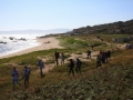 Playa de Lobeiras