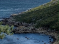 Praia da Barda