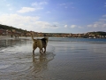 IMG_0446 copia