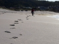 Playa de Laxe
