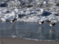 Playa de Laxe