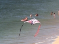 Praia de Leis 23