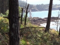 Praia de Leis 26