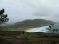 pa130126-206