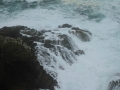 pa130126-263