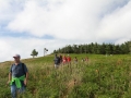 pa130804-349