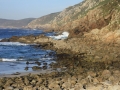 pa130105-149