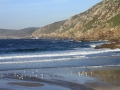 pa130105-160
