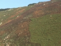 pa130105-163