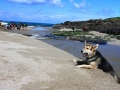 Praia de Seiruga
