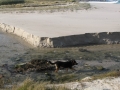 Playa de Soesto