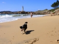 Playa de Lago