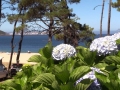 Praia do Lago 03
