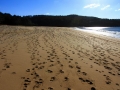 Playa de Lago