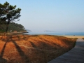 Playa de Lago