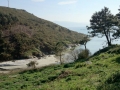 Playa de Osmo