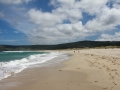 pa130804-187