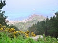 CHA_4458